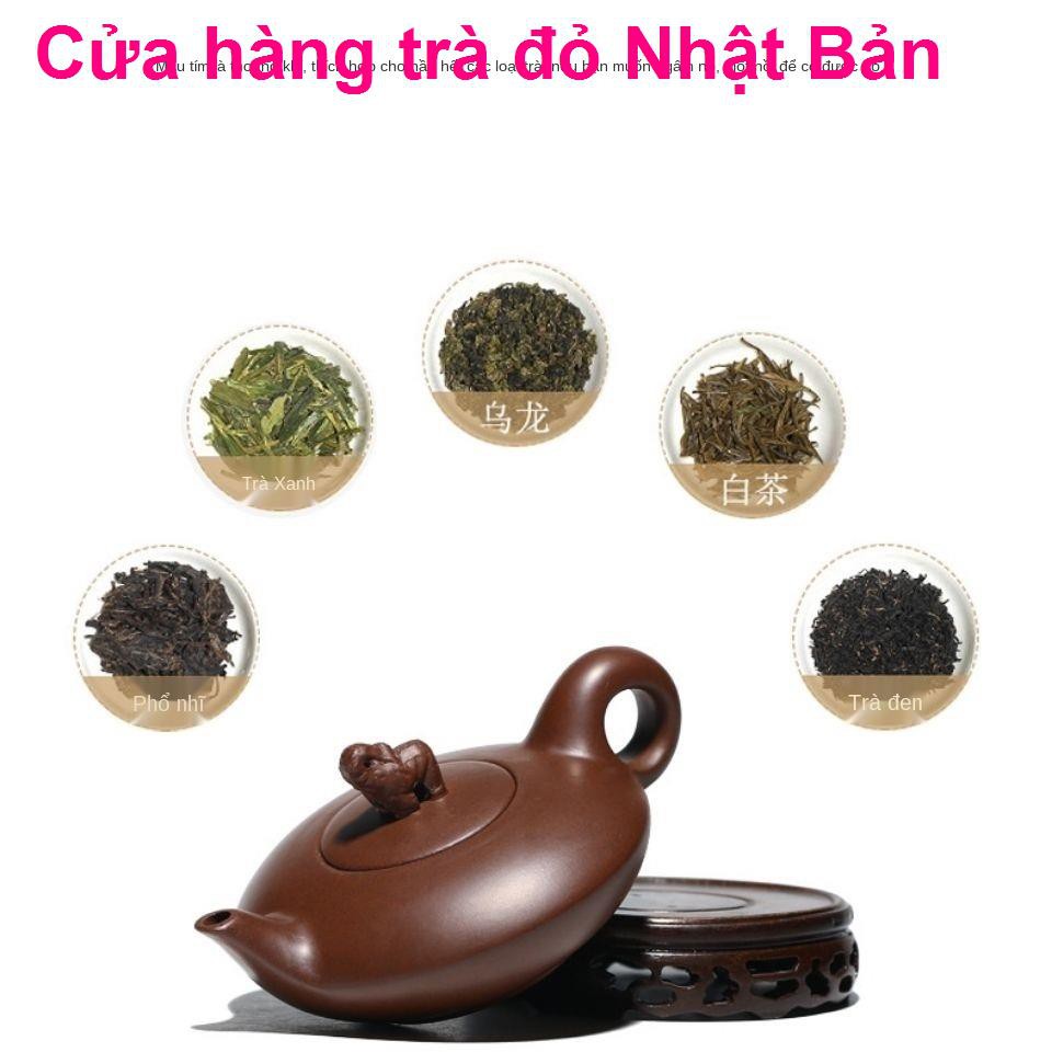 [Yuhong Phường] Zisha Pot phong phú Mỏ gốc màu tím nhỏ Ấm trà may mắn Bộ đồ Voi1