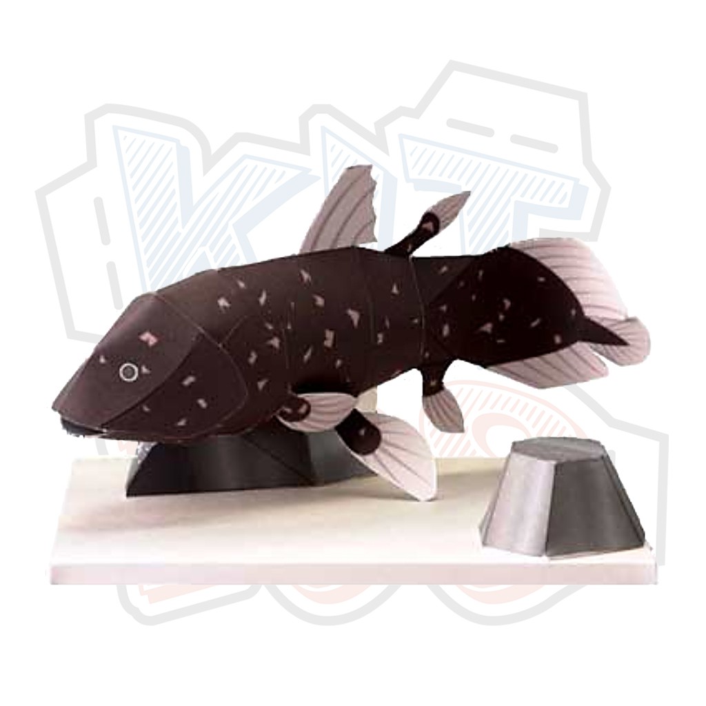 Mô hình giấy động vật cá Coelacanth ver 2