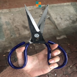Kéo cắt đa năng đình thi