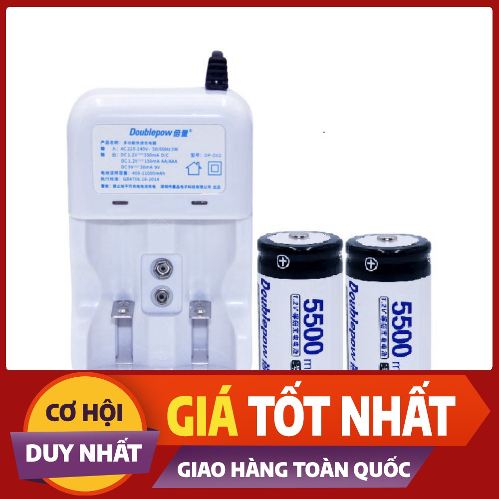 (RẺ-CHẤT) Bộ pin + sạc pin Pin Đại ( Pin Số 1) dung lượng 5500mah Doublepow dùng cho bếp gas, đèn pin, chuông báo động..