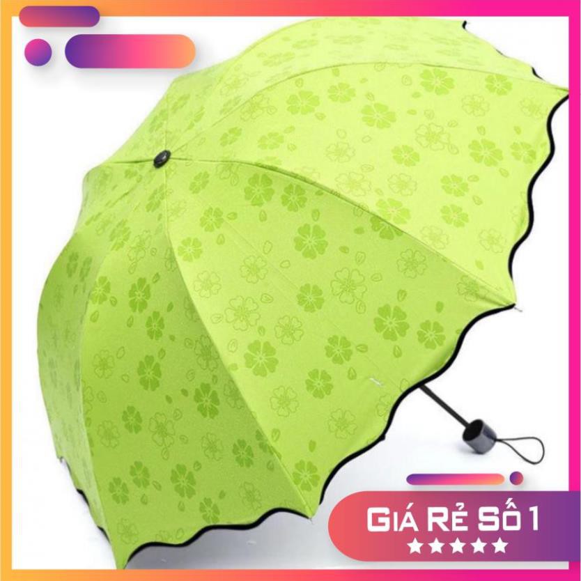 Ô ma thuật gặp nước nở hoa chống tia UV (nhiều màu)