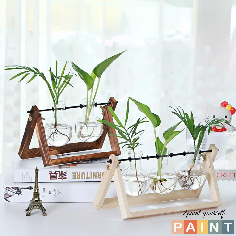 Bình thủy tinh trồng cây thủy canh khung gỗ để bàn, phụ kiện decor chụp ảnh 2Paint