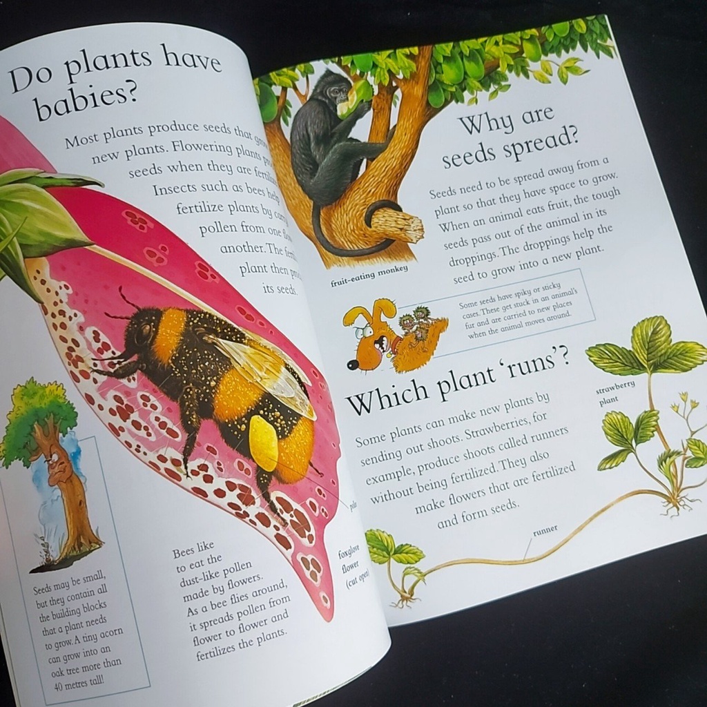 I wonder why   + mp3