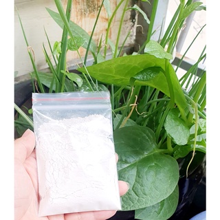 Nấm đối kháng Trichoderma, Trichoplus LOẠI 1 ủ phân nhà bếp