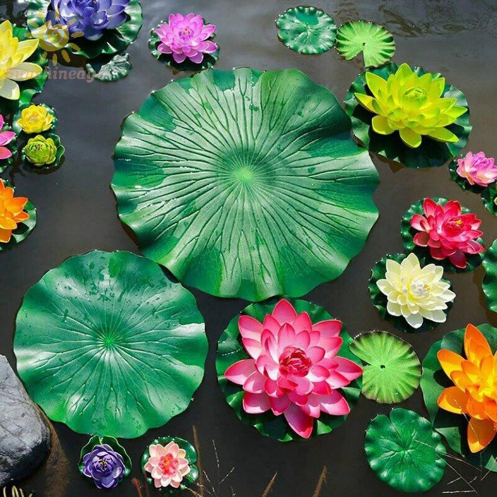 Lá Sen Nổi Trang Trí Hồ Cá