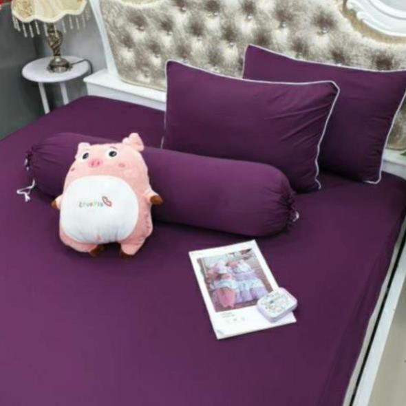 BỘ DRAP THUN SIÊU LẠNH BẢN CAO CẤP GIÁ HẤP