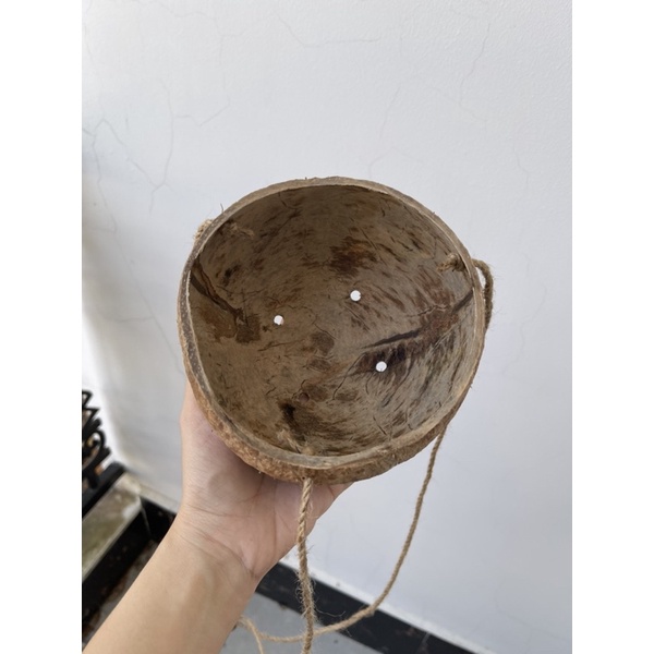 Gáo dừa trồng lan, trồng cây có kèm dây thừng treo