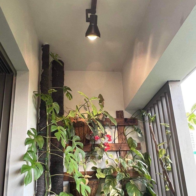 Đèn Trồng Cây Spotlight Thân Dài LGL 20W, Ánh Sáng Nắng Sớm Kích Thích Ra Ở Chồi Kiểng Lá & Ra Mầm Ở Cây Hoa, Sen Đá