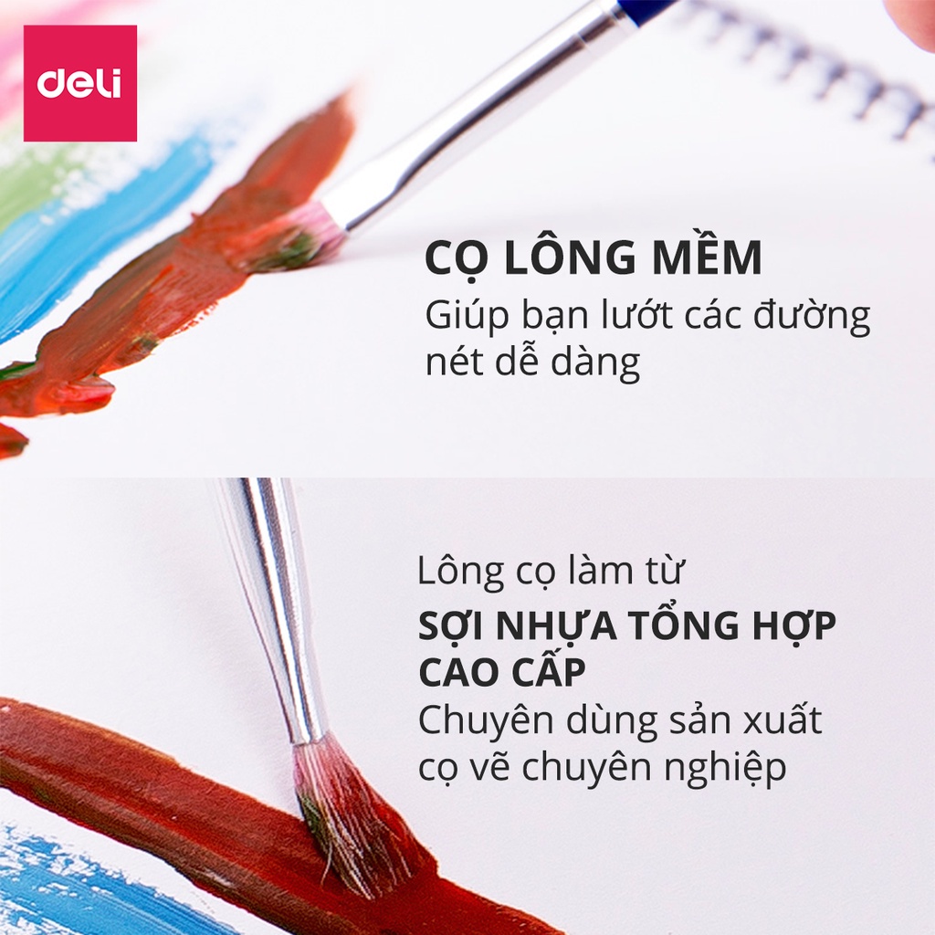 Bộ cọ vẽ chuyên nghiệp Deli - dùng cho màu nước/bột/sơn acrylic -Set 4/6 cây