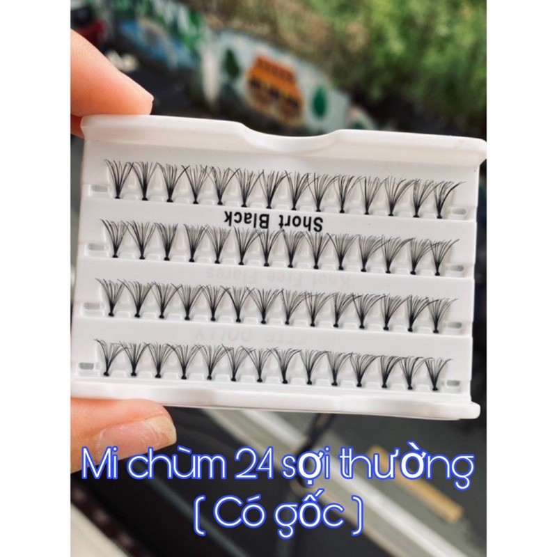Mi chùm siêu xịn nối siêu nhanh bắt keo siêu tốt