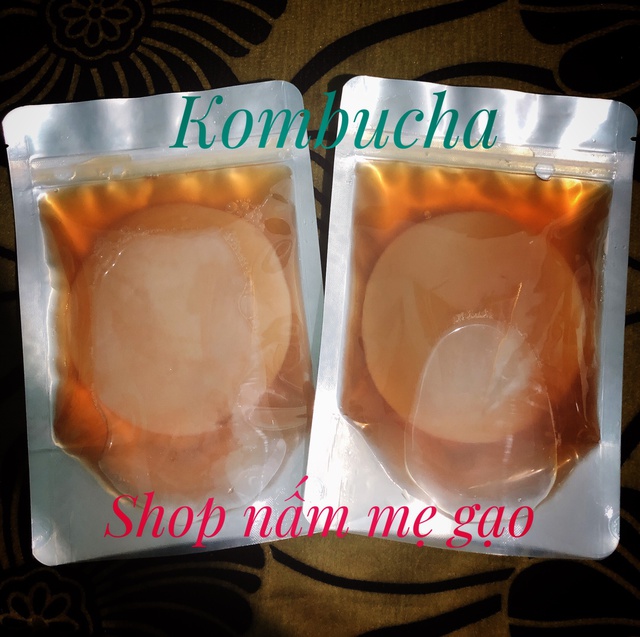 Nấm kobumcha/Milk kefir (Nấm sữa)