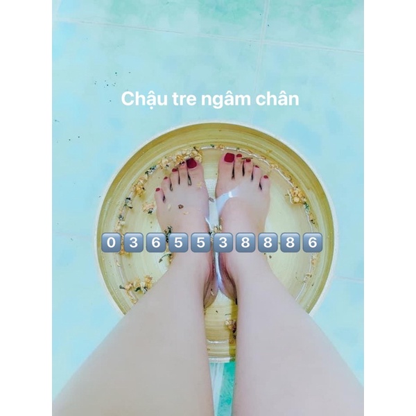 Chậu Tre Ngâm Chân Làm Nail Size 30cm