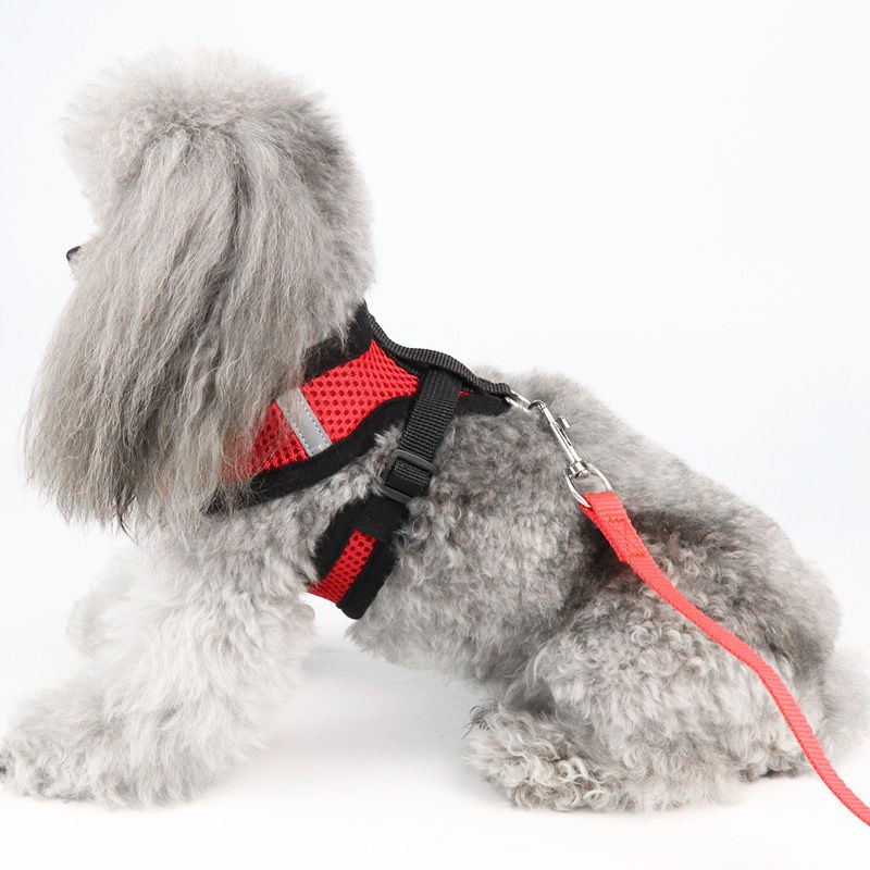 Dây dắt chó Xích đeo cho chó poodle yếm xích mèo dây dắt chó lưới thoáng khí #A022