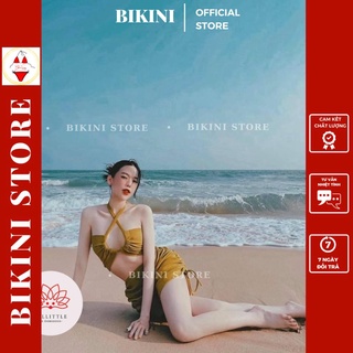 Bikini, đồ bơi đi biển 2 mảnh quây cách điệu, quần giả váy chùm siêu nữ tính |bikini official 2022