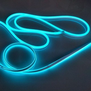 ✅✅(SALE 50%)ĐEN LED NEON 12V ✅✅FREESHIP