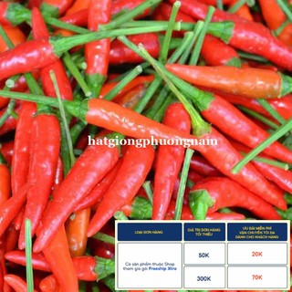 30H - HẠT GIỐNG ỚT HIỂM