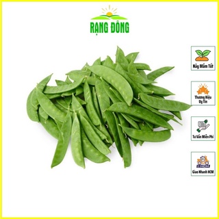 Hạt giống đậu hà lan thu trái trồng quanh năm, sinh trưởng mạng - shop hạt giống rau và hoa