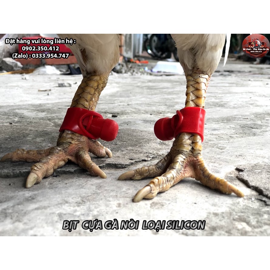 Bịt Cựa Gà Nòi Silicon Thái Lan
