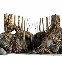Rễ rừng setup bể thủy sinh, bán cạn, Terrarium SL 100Gram