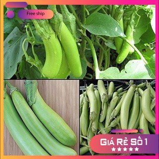 Hạt giống Cà xanh mỡ (0.5g)