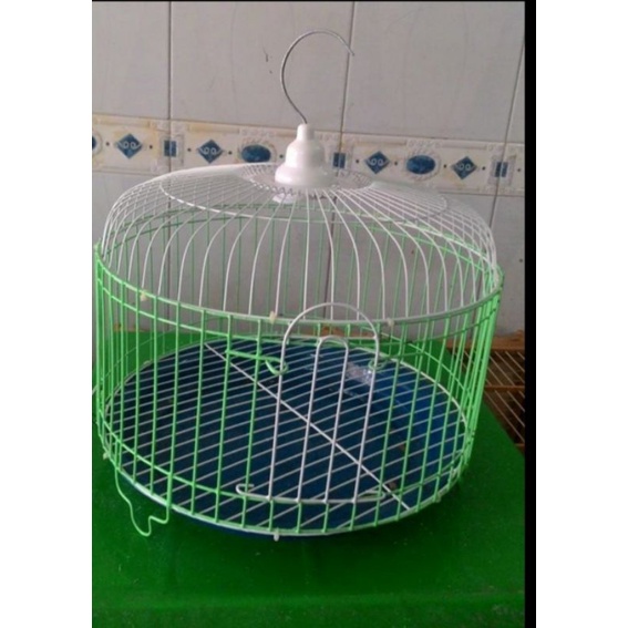 lồng lớn nuôi chim cu tặng kèm đáy hứng phân
