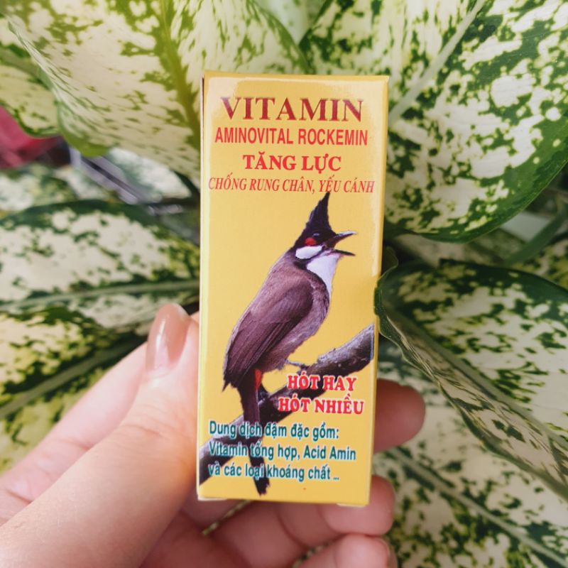 Vitamin RockeminTăng Lực Cho Chim