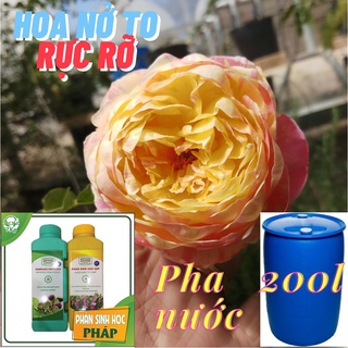 Phân bón Pháp chuyên dùng cho hồng leo Pháp được nhập khẩu bởi Biofresh Đà lạt