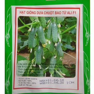 Hạt giống dưa chuột bao tử - 1 gói 10 hạt