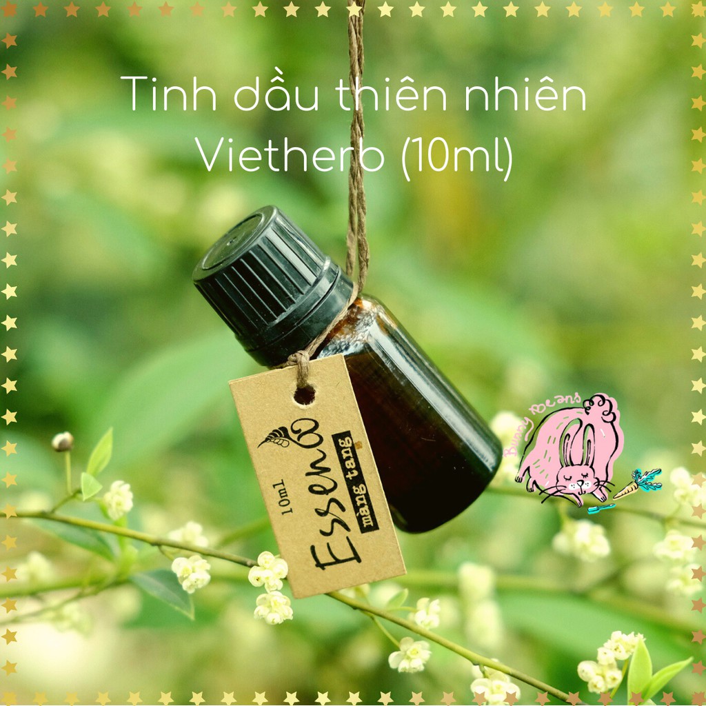 Tinh dầu thiên nhiên VIETHERB Bưởi, Quế, Hoa hồi, Tràm, Màng tang (10ml) (Shop Bunny Beans)