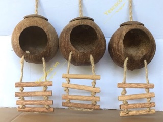 Tổ chim, thú gáo dừa có thang