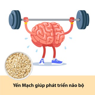 Yến Mạch Úc - Hộp 450g