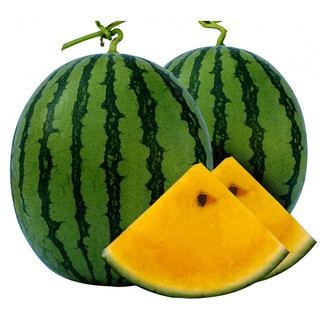 Hạt Giống Dưa Hấu Ruột Vàng Qủa To (2Gr) - Ngọt, Giàu Vitamin, Năng Suất Cao - MUA 3 TẶNG 1 CÙNG LOẠI