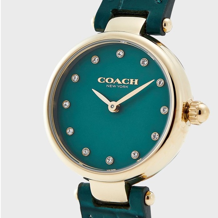 Đồng hồ nữ Authentic - Đồng hồ nữ Coach NNDH01 dây da size 26mm