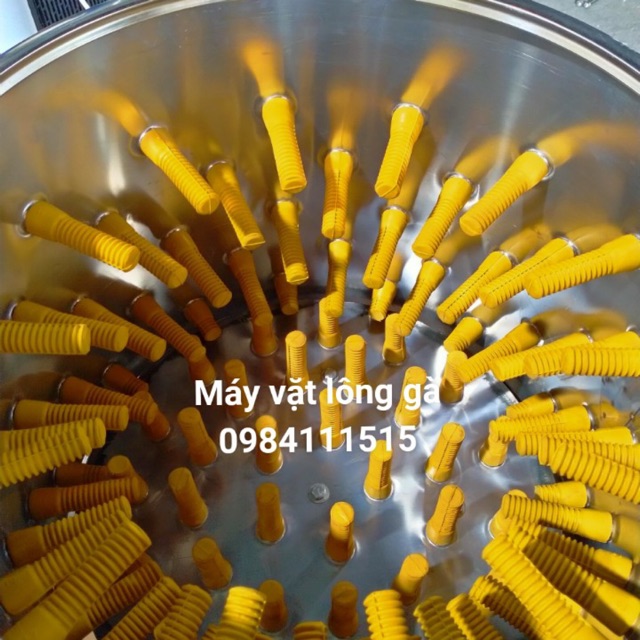 Núm vặt lông gà thanh lý