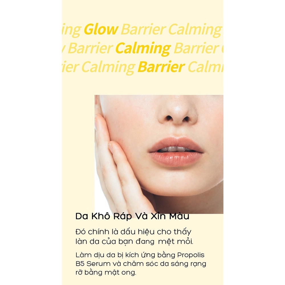 Combo 2 SP Cấp Ẩm, Phục Hồi Da Chiết Xuất Mật Ong Some By Mi Propolis B5 Glow Barrier Calming (Toner 150ml+Serum 50ml)