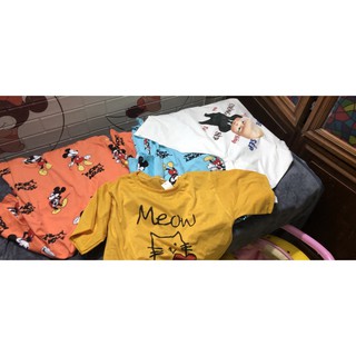 Set áo len áo sơ mi
