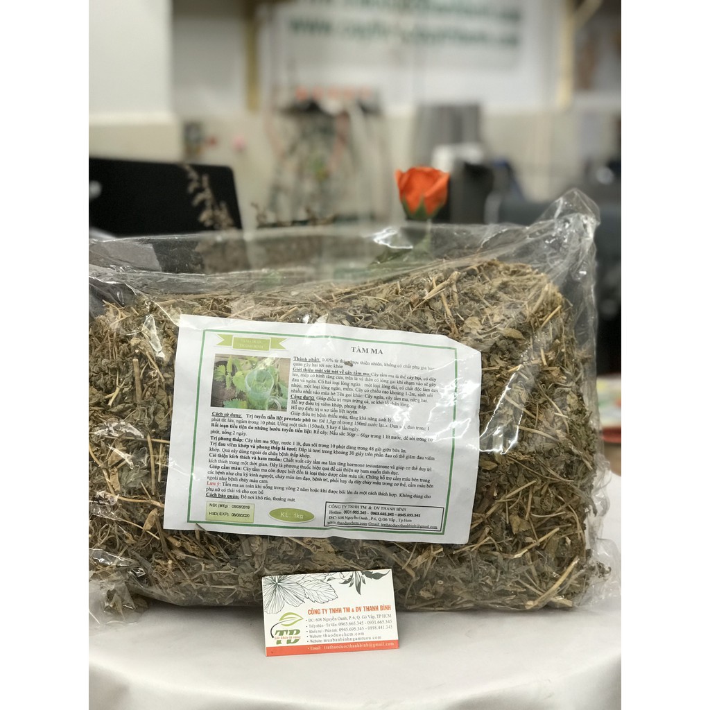 Cây Tầm Ma (Cây Ngứa) 100g - Lương Y Thanh Bình