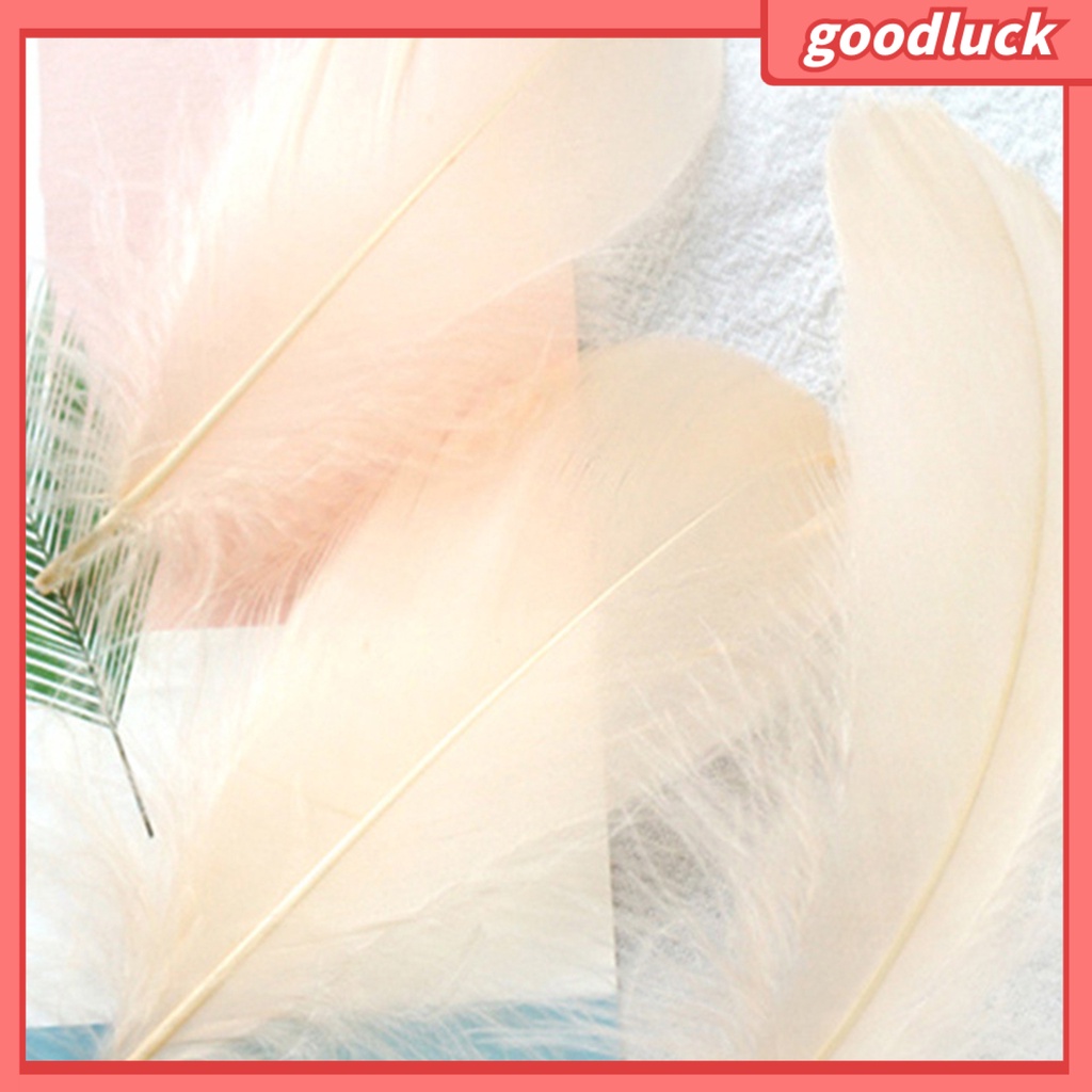 Bộ 100 Lông Vũ Nhiều Màu Sắc Dùng Trang Trí Thủ Công DIY