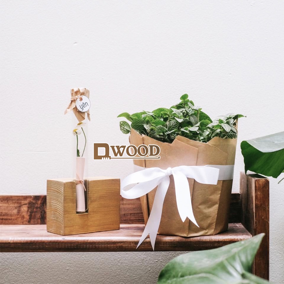 Đế Gỗ Dwood Đựng Ống Nghiệm Trồng Cây Trang Trí M2