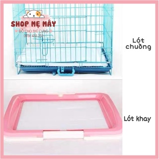 TẤM LÓT VỆ SINH CHÓ MÈO