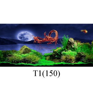 Tranh dán hồ cá 3D