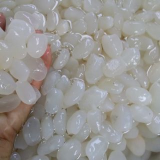 com bo 3 ki hạt đác tươi bao ngon chỉ có giá 195k