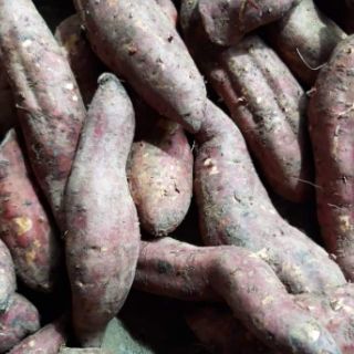 Khoai lang mật sấy dẻo 1kg