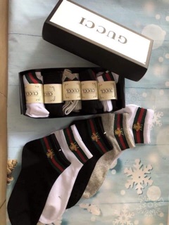 Combo 5 đôi tất nam Gucci cực đẹp