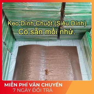 Keo Dính Chuột , Keo Dính Chuột Siêu Dính