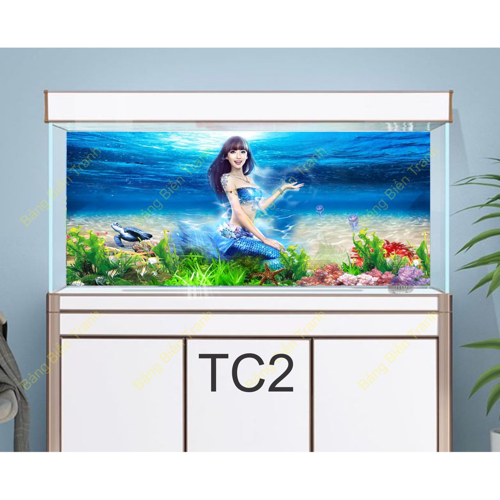 Tranh 3D dán bể cá mẫu tiên cá TC2