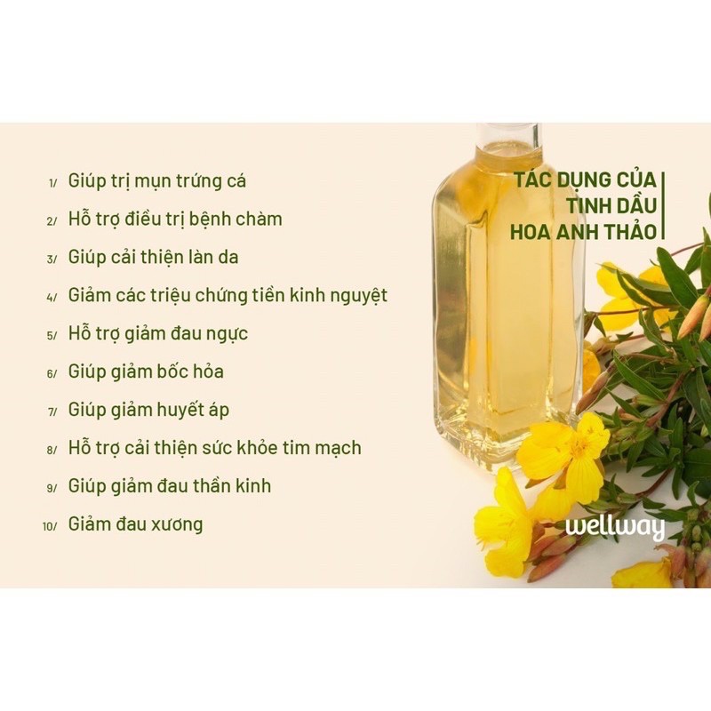 Tinh Dầu Hoa Anh Thảo Vitatree Nhập Khẩu Úc (EVENING PRIMROSE OIL)