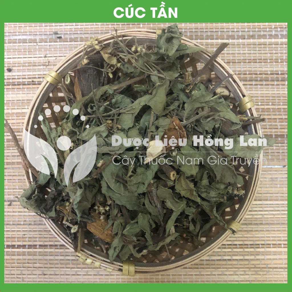 CÂY TÚC TẦN (ĐẠI BI, TỪ BI) khô đóng gói 1kg - congtyduoclieuhonglan