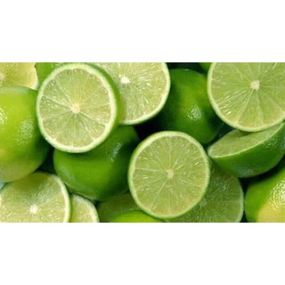 Cây Giống Chanh Tứ Quý (Chuẩn Giống Cây Trồng)
