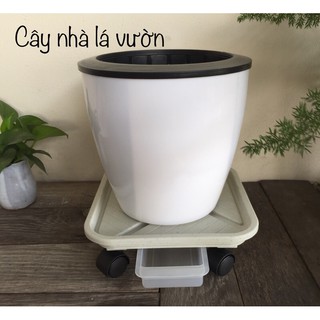 Đế lót chậu có khay hứng nước.